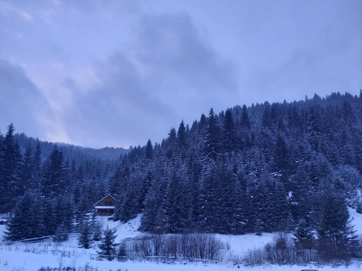 Balendormi Lägenhet Gheorgheni  Exteriör bild